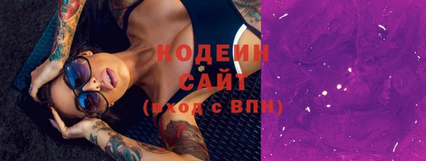 apvp Гусь-Хрустальный