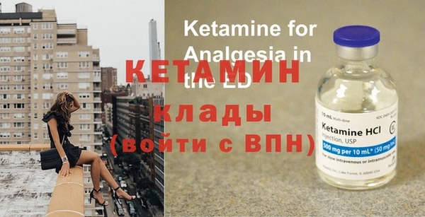 ПСИЛОЦИБИНОВЫЕ ГРИБЫ Горно-Алтайск