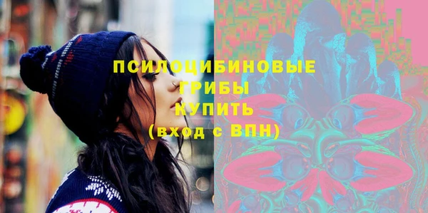 PSILOCYBIN Гусев