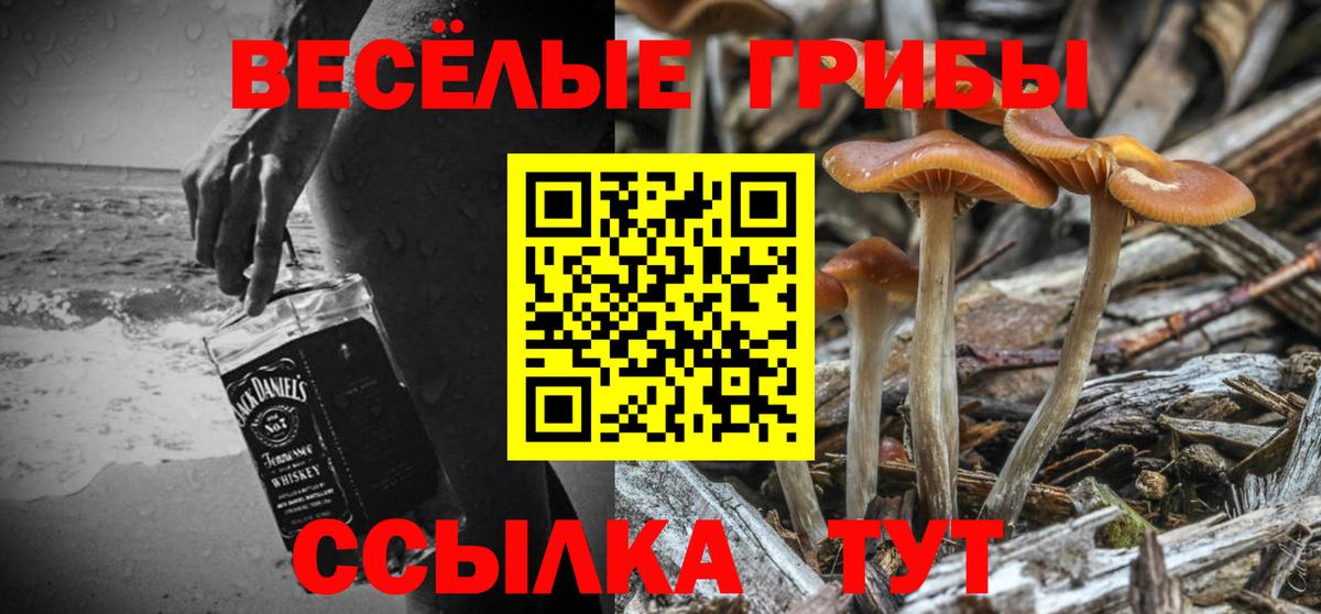 Междуреченск  Псилоцибиновые грибы ЛСД  Вход с VPN 